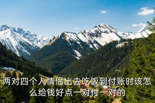 两对四个人情侣出去吃饭到付账时该怎么给钱好点一对付一对的