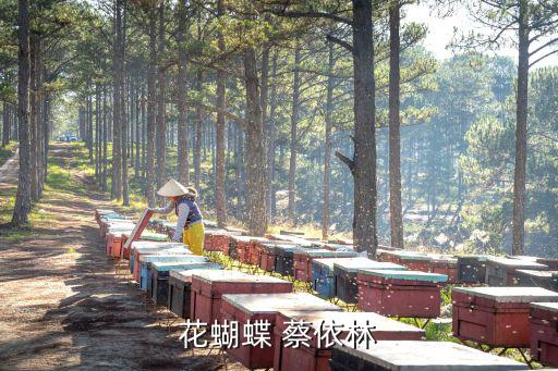 花蝴蝶 蔡依林