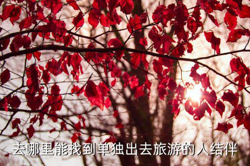 去哪里能找到单独出去旅游的人结伴