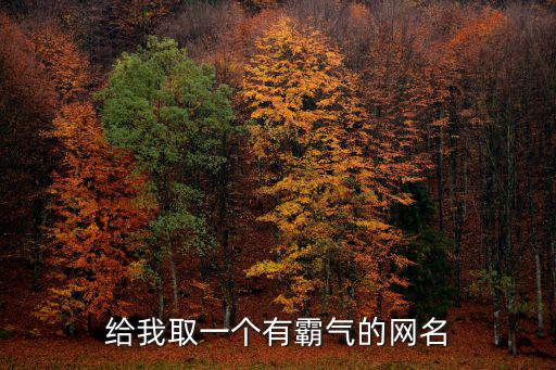 给我取一个有霸气的网名