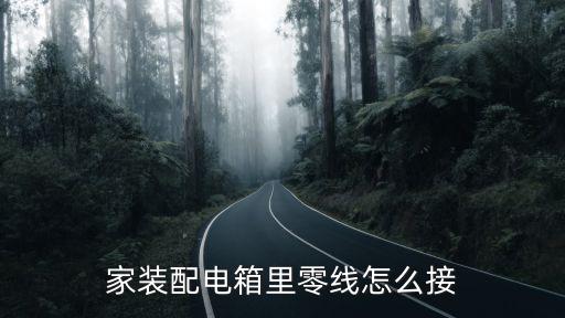 家装配电箱里零线怎么接