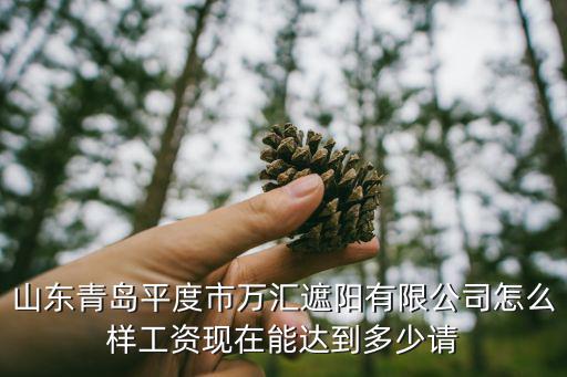 山东青岛平度市万汇遮阳有限公司怎么样工资现在能达到多少请