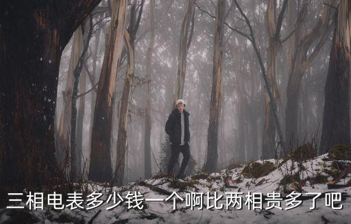 三相电表多少钱一个啊比两相贵多了吧