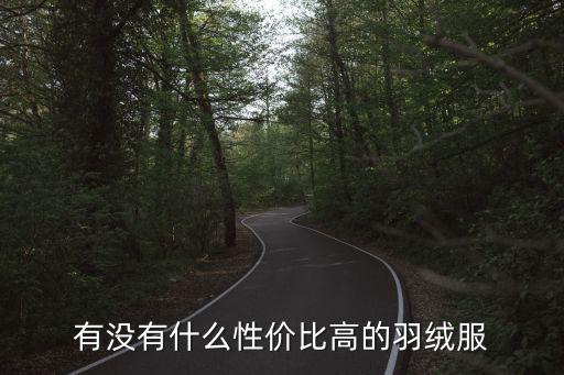 有没有什么性价比高的羽绒服