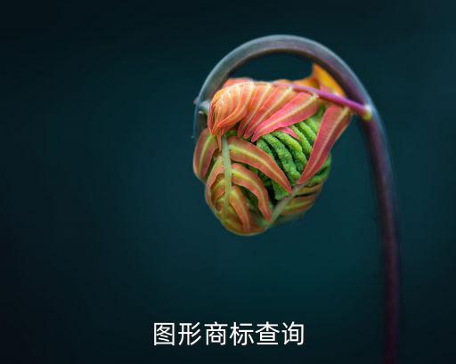 图形商标查询