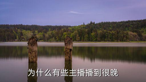 为什么有些主播晚上直播，为什么有些主播直播崩坏3能从早播到晚