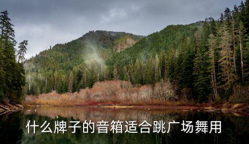 买了跳广场舞的音响什么样好，什么牌子的音箱适合跳广场舞用