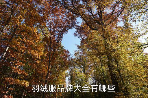 羽绒服品牌大全有哪些