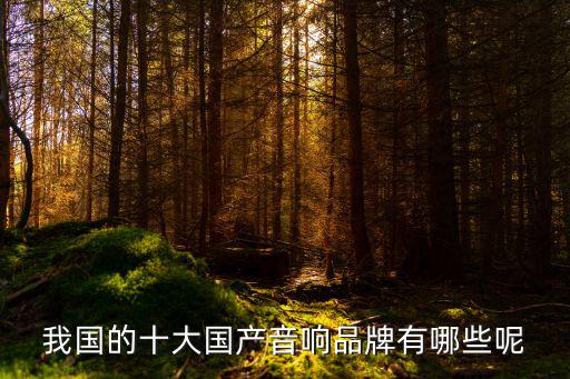 我国的十大国产音响品牌有哪些呢