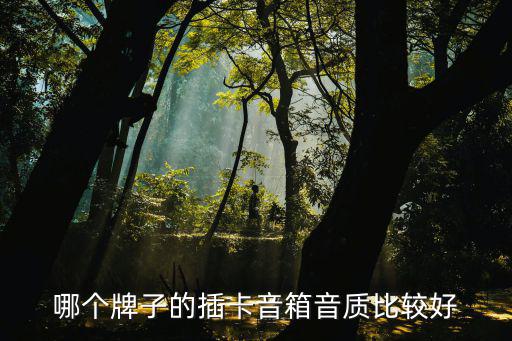哪个牌子的插卡音箱音质比较好