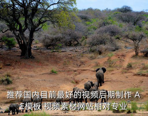 国内免费的视频素材网站，好一点的 音频素材 和 视频素材 去哪个网站弄拜托各位了 3Q