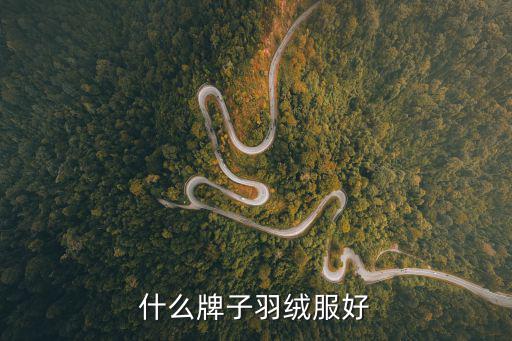 什么牌子羽绒服好