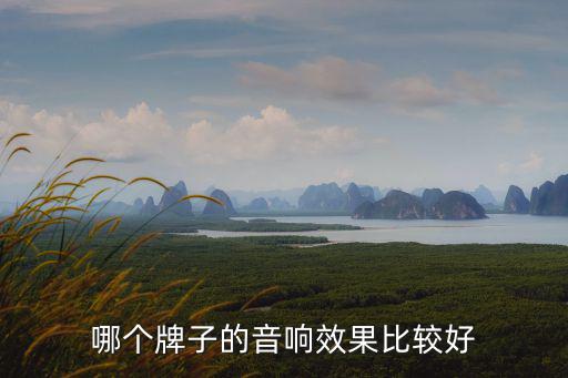 哪个牌子的音响效果比较好