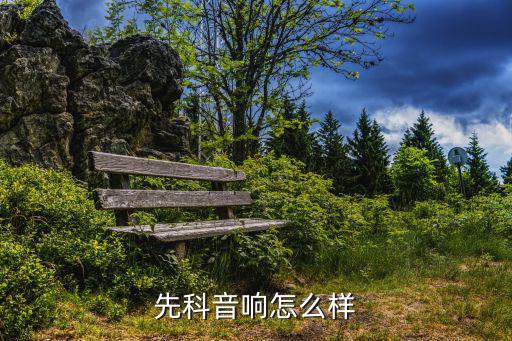 先科家庭ktv音响怎么样，先科2019k怎么样