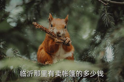 临沂那里有卖帐篷的多少钱