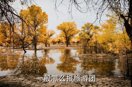 一般怎么报旅游团
