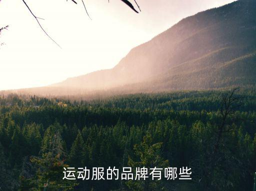 运动服品牌商标大全，10个运动装的品牌名不要英文的 我看不懂别弄太多 弄多
