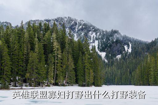 英雄联盟寡妇打野出什么打野装备