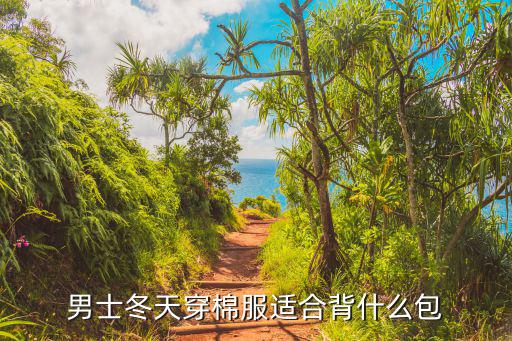 男士薄棉袄，男士冬天穿棉服适合背什么包