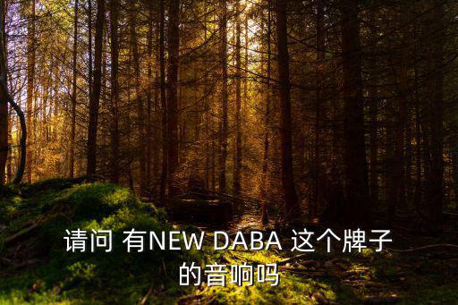 请问 有NEW DABA 这个牌子的音响吗