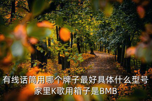 有线话筒用哪个牌子最好具体什么型号家里K歌用箱子是BMB