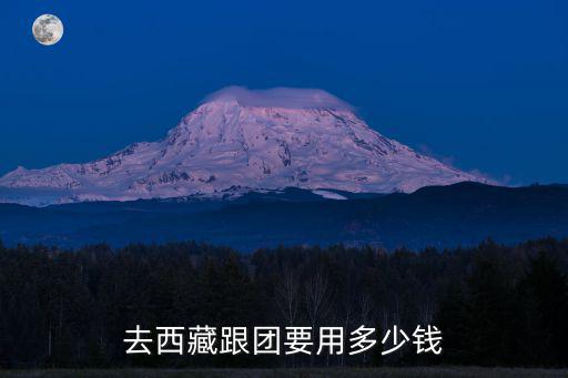 去西藏跟团要用多少钱