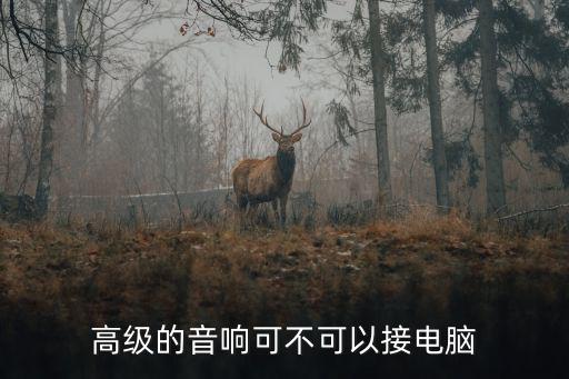 高级的音响可不可以接电脑