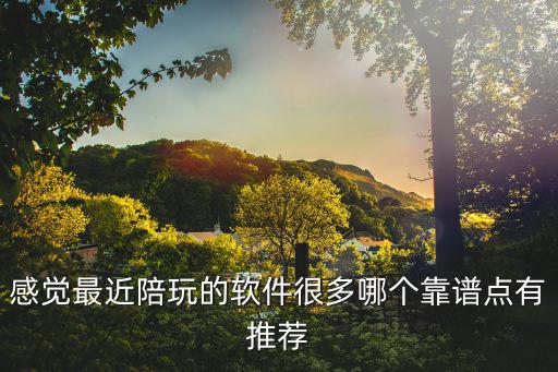 感觉最近陪玩的软件很多哪个靠谱点有推荐