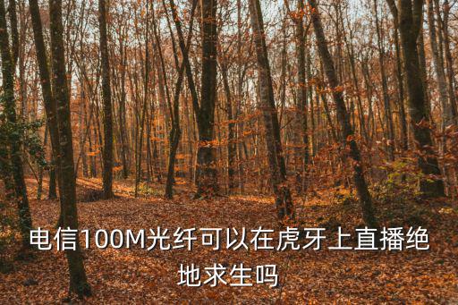 吃鸡直播虎牙，电信100M光纤可以在虎牙上直播绝地求生吗