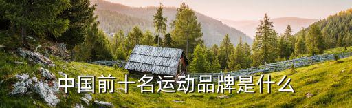 中国前十名运动品牌是什么