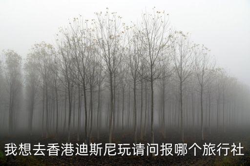 我想去香港迪斯尼玩请问报哪个旅行社