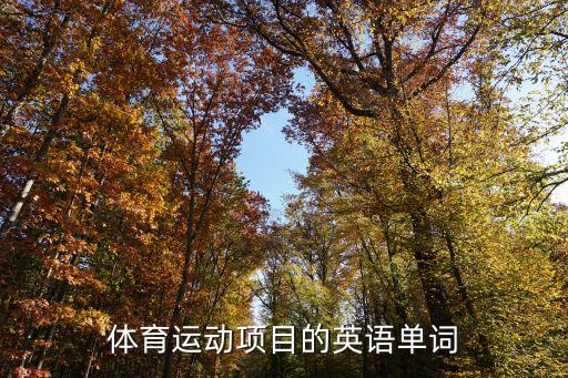 体育项目大全英文怎么说，体育运动项目的英语单词