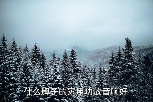 家庭音响套装排名，什么牌子的51家庭影院音响套装好