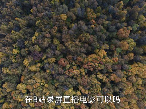 在b站直播可以看b站视频吗，b站是什么怎么在b站上面看之前主播们的直播视屏