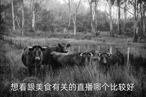 想看跟美食有关的直播哪个比较好