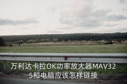 万利达卡拉OK功率放大器MAV325和电脑应该怎样链接