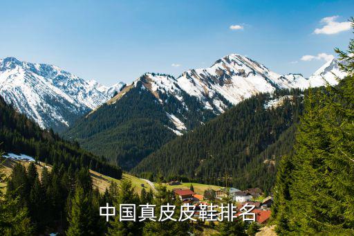 中国真皮皮鞋排名