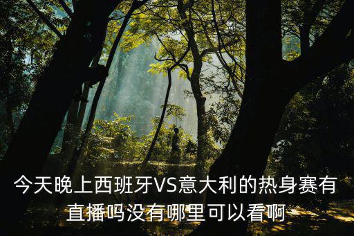 今天晚上西班牙VS意大利的热身赛有直播吗没有哪里可以看啊