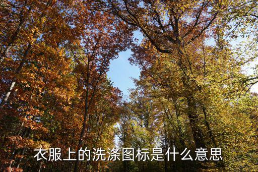 衣服上的洗涤图标是什么意思
