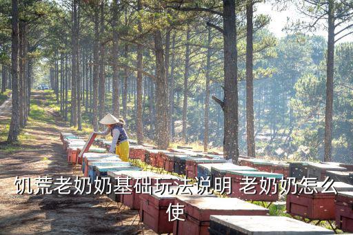 饥荒老奶奶基础玩法说明 老奶奶怎么使