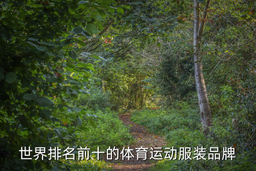 运动服品牌，世界排名前十的体育运动服装品牌