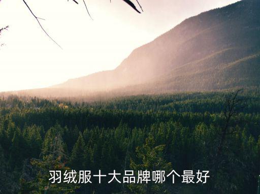 羽绒服品牌排行榜前十名图片，十大品牌羽绒服有哪些