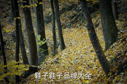鞋子鞋子品牌大全
