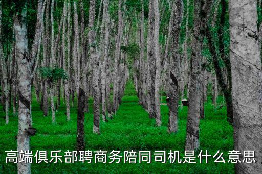 高端俱乐部聘商务陪同司机是什么意思