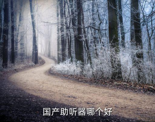 国内最好的助听器，国内助听器什么牌子比较好有哪些助听器品牌
