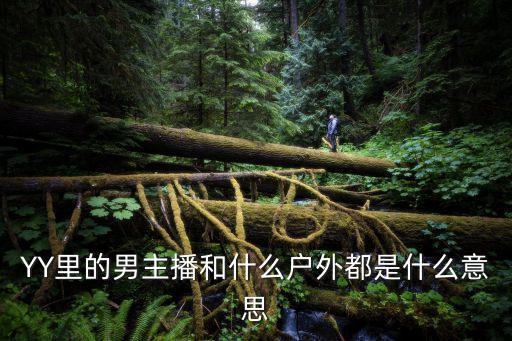 为什么有些主播要在户外直播，YY里的男主播和什么户外都是什么意思