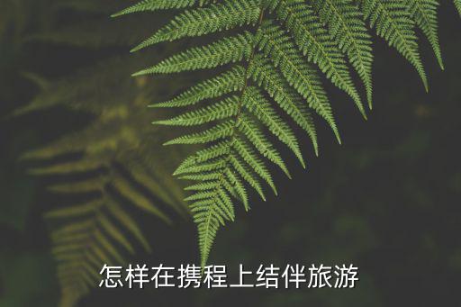 怎样在携程上结伴旅游