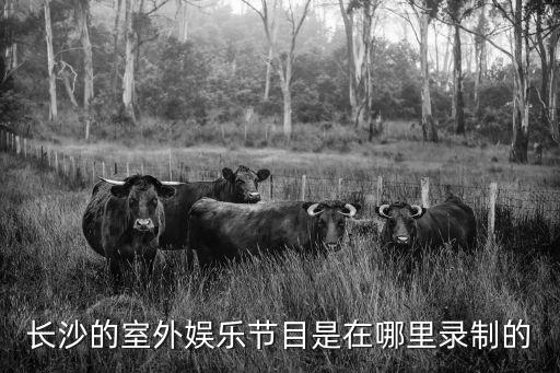 长沙不允许户外直播了吗，EXO长沙演唱会可以直播吗