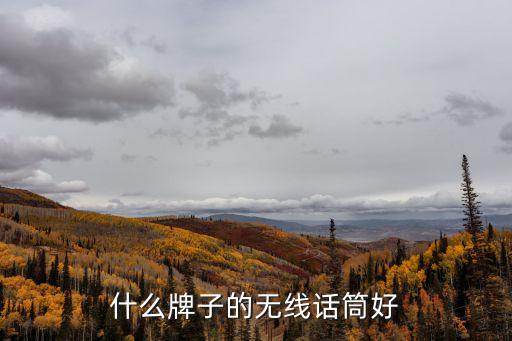 什么牌子的无线话筒好
