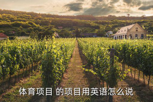 体育项目的英文表达，体育项目这个单词怎么写